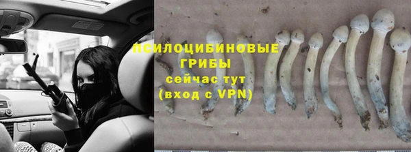 прущий лед Алзамай