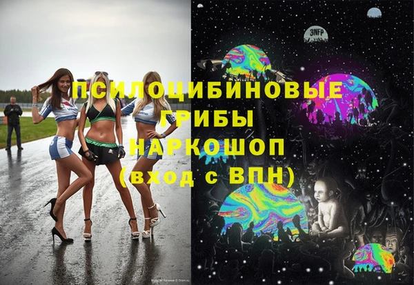 прущий лед Алзамай